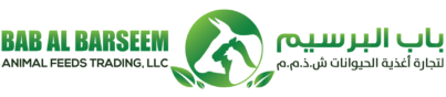 babalbarseem.ae